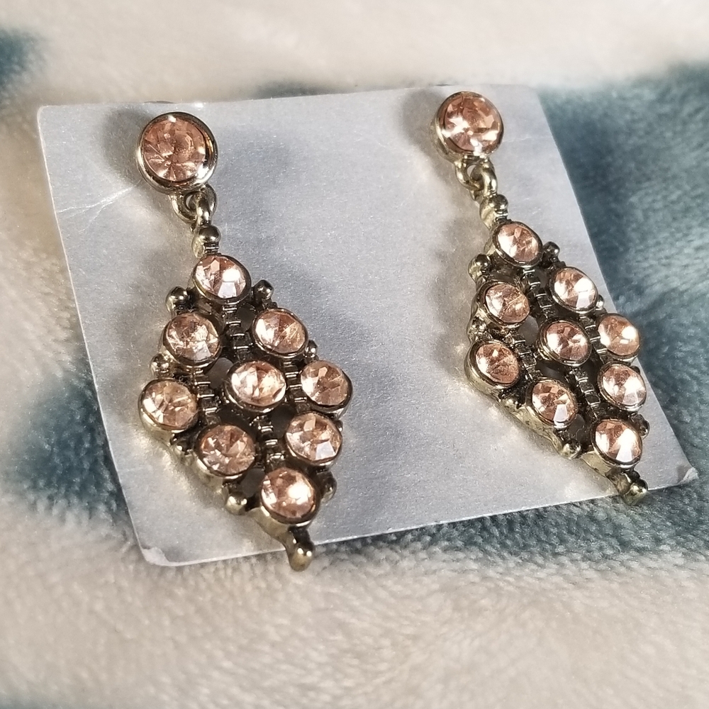 Elegant Dangling Earrings
